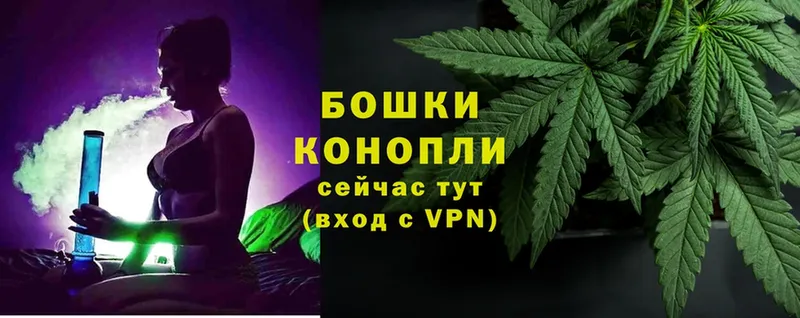 Бошки Шишки SATIVA & INDICA  Бугульма 